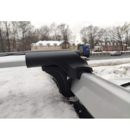 Багажник CAN Otomotiv на Haval Dargo серый в Москве