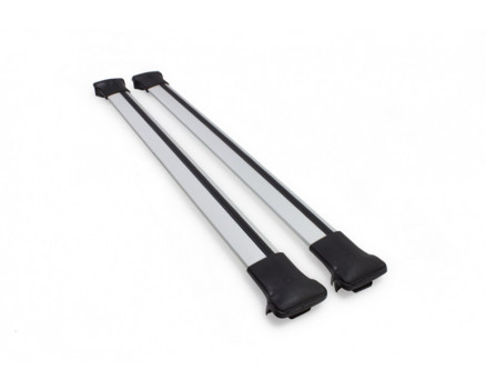 Багажник ERKUL на Ford C-MAX 2011— Арт. 12.SIAM.TR.10.11.V1.G в Москве