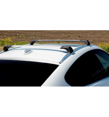 Багажник ERKUL на Toyota AURIS 2013— Арт. 35.SKY.04.13.V2.G в Москве